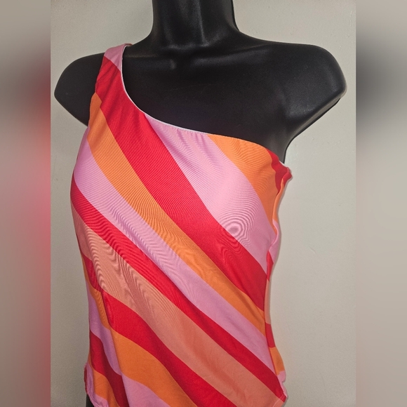 Mothcloth Size Medium One-Shoulder Striped Swimsuit - Picture 2 of 9